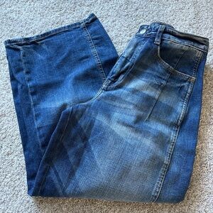Pilcro Anthropologie Barrel Jeans